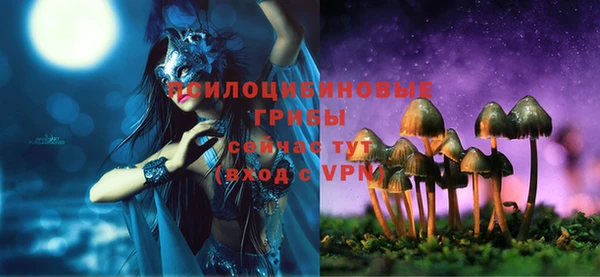 МДПВ Коряжма