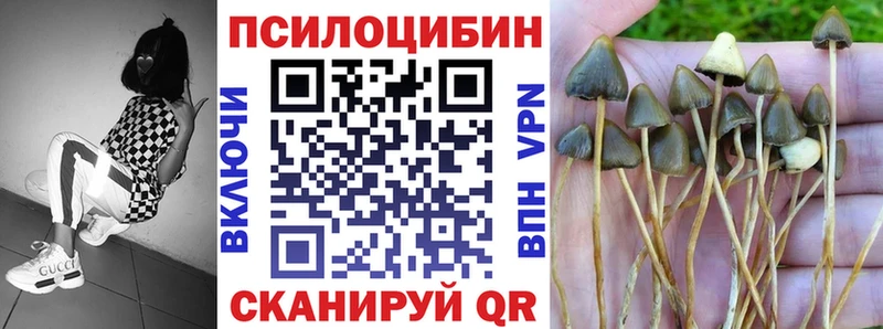 Псилоцибиновые грибы мухоморы  Купить где  Старый Крым 
